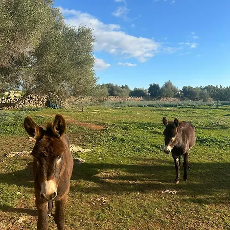 Son Pieras Country house Llucmajor (Mallorca)